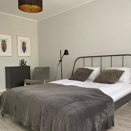 Apartament Kilinskiego 9 Swidnica  Ngoại thất bức ảnh