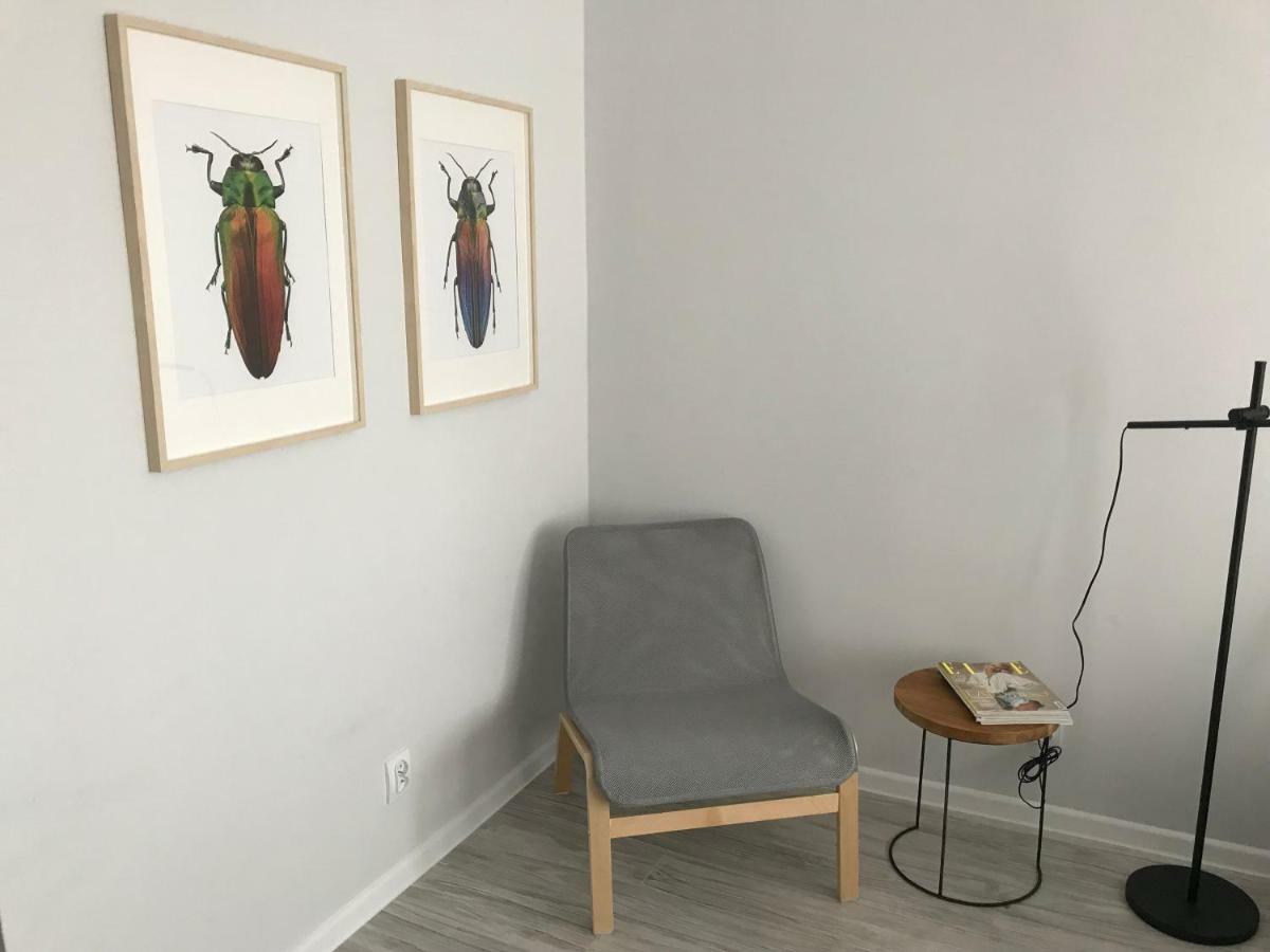 Apartament Kilinskiego 9 Swidnica  Ngoại thất bức ảnh